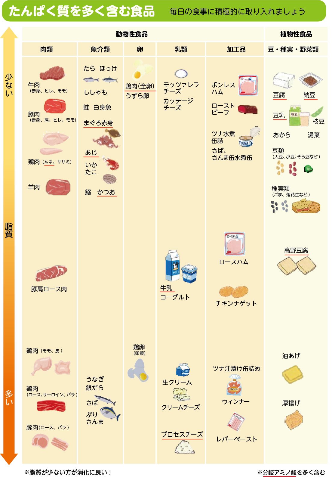 たんぱく質を多く含む食品